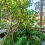 Family Flat Con Giardino, 2 Bagni, 6 Ospiti * Rapallo