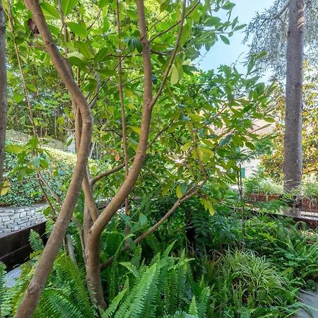 Family Flat Con Giardino, 2 Bagni, 6 Ospiti * Rapallo