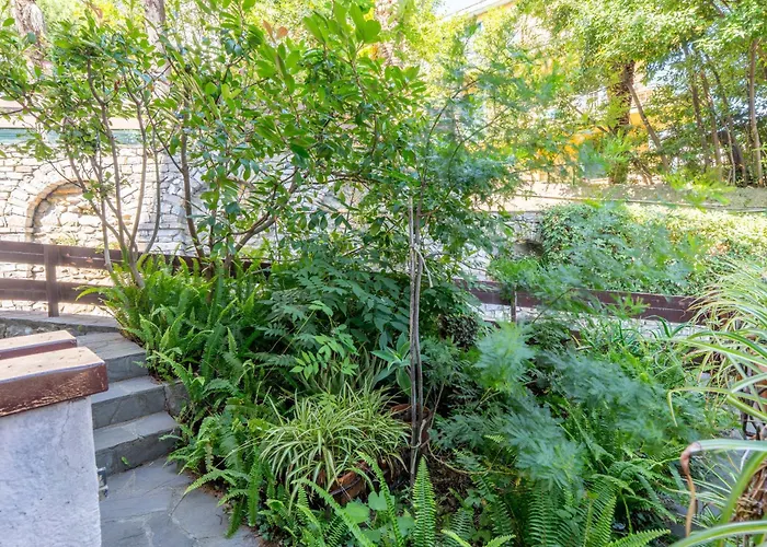 Apartment Charm In *